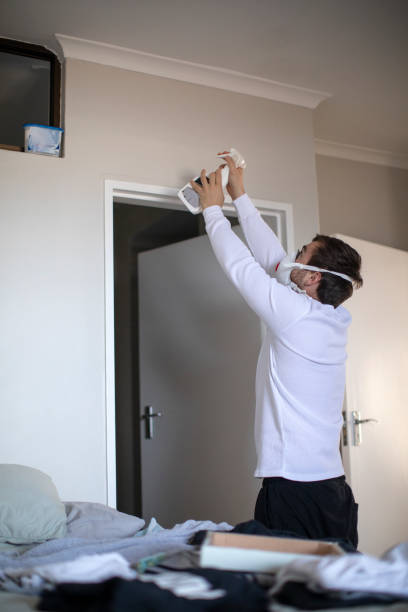 Dehumidification Services in Federalsburg, MD