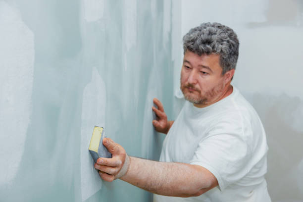 Best Mold Odor Removal Services  in Federalsburg, MD